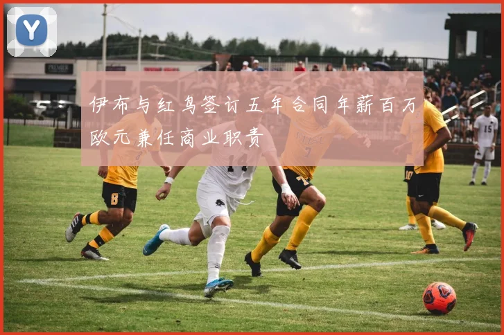 伊布与红鸟签订五年合同年薪百万欧元兼任商业职责
